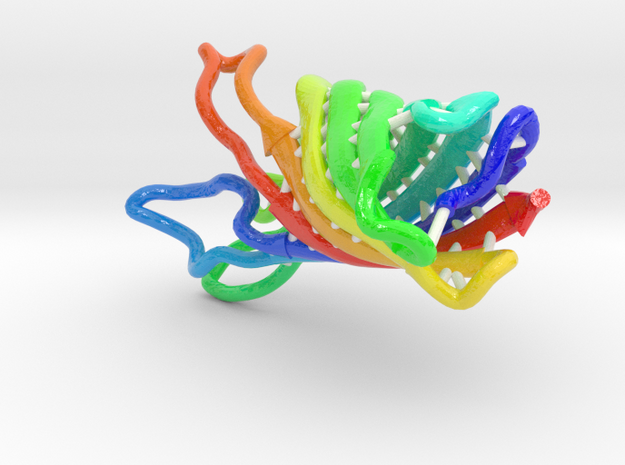 OmpA-Like Transmembrane Domain in Glossy Full Color Sandstone