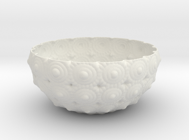 Bowl in White Natural Versatile Plastic