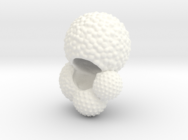 Globigerina Foraminiferan Model 5cm  in White Processed Versatile Plastic