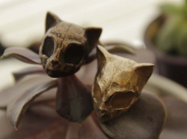 Cat Skull in Polished Bronze Steel