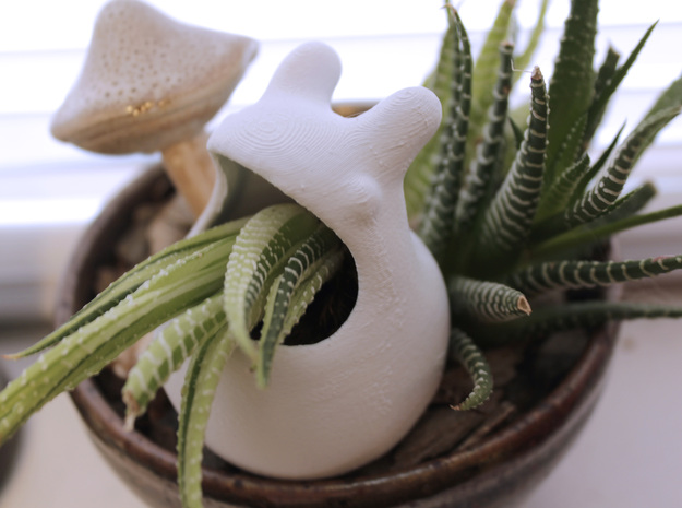 Ralph the Bunny Succulent Pot in White Natural Versatile Plastic