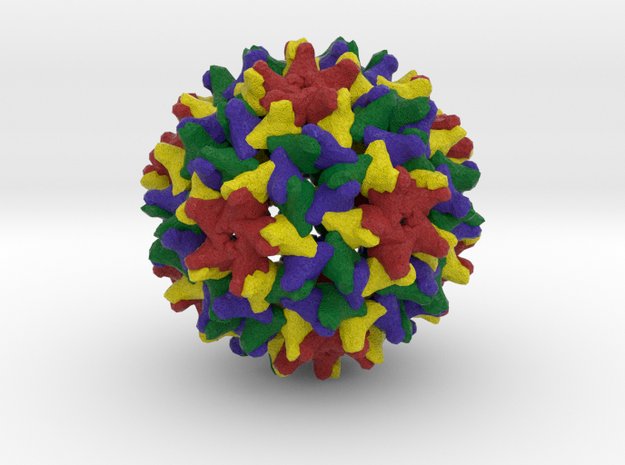 Woodchuck Hepatitis Virus in Natural Full Color Sandstone