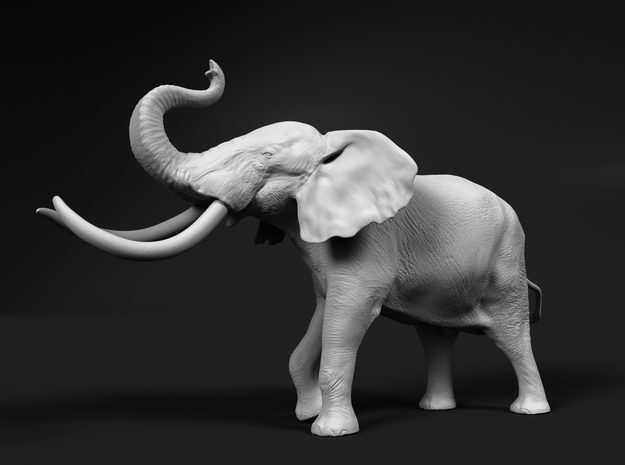African Bush Elephant 1:48 Aggressive Male in White Natural Versatile Plastic