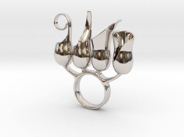 Sculvos  - Bjou Designs in Rhodium Plated Brass