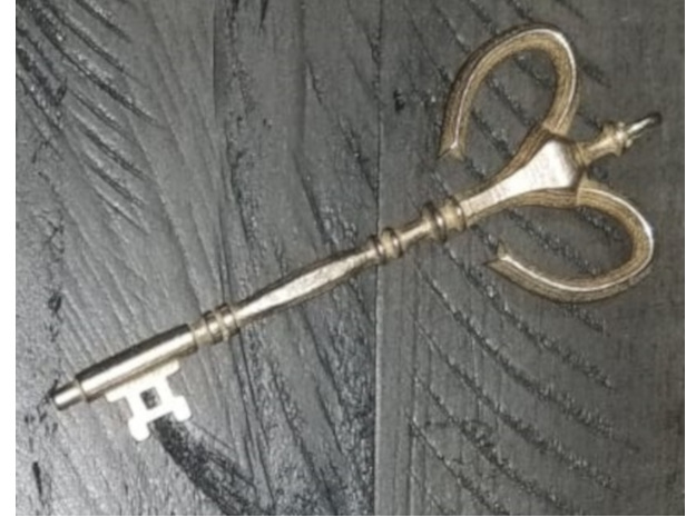 Illusion key in Polished Bronzed-Silver Steel