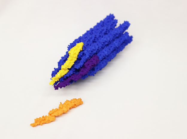 Flagella Base Model in Blue Processed Versatile Plastic