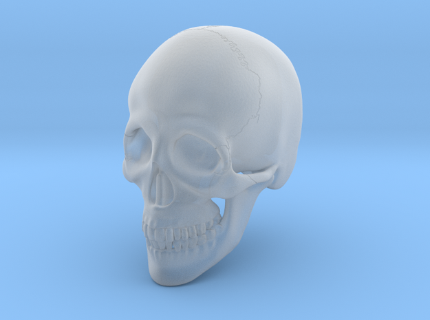 1:16 Scale Human Skull in Tan Fine Detail Plastic