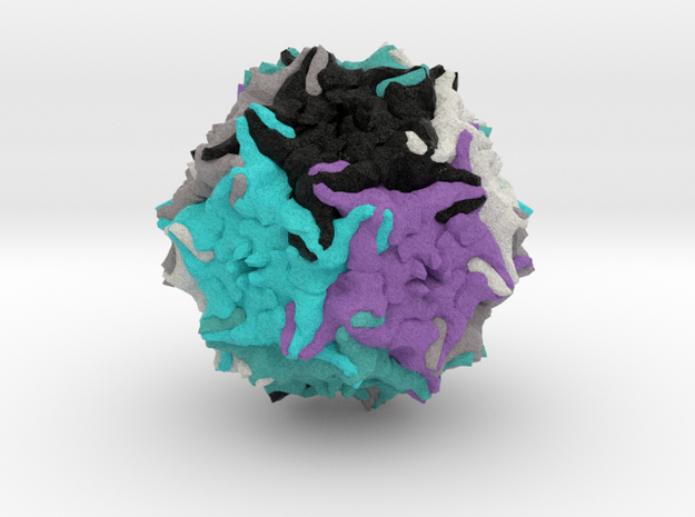 Adeno-Associated Virus 5 in Natural Full Color Sandstone