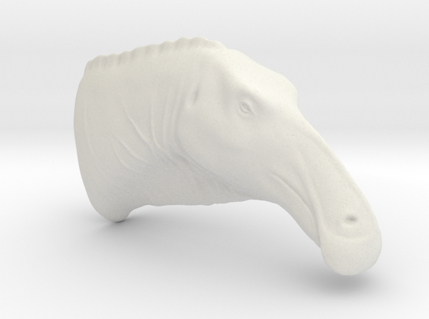 Anatosaurus head in White Natural Versatile Plastic: Small