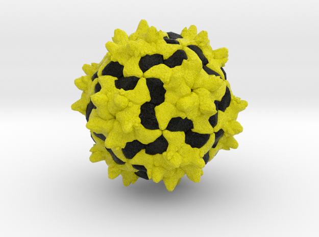 Black Queen Cell Virus in Natural Full Color Sandstone