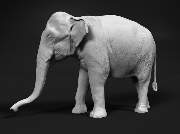 Indian Elephant 1:48 Standing Female 1 in White Natural Versatile Plastic