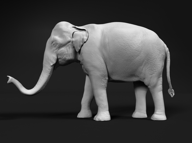 Indian Elephant 1:35 Standing Female 2 in White Natural Versatile Plastic