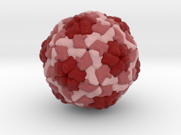 Hepatitis A Virus in Natural Full Color Sandstone