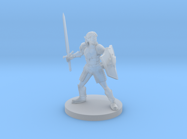 Female Elf Light Paladin with Sword and Shield