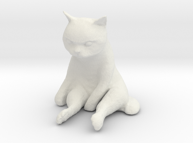 1/10 Grumpy Cute Cat in White Natural Versatile Plastic