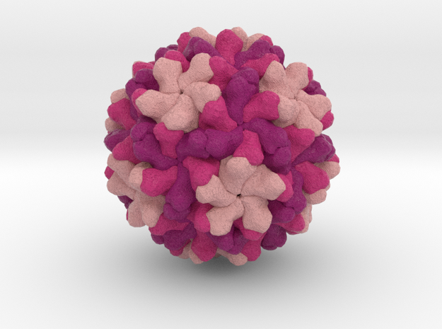 Red Clover Necrotic Mosaic Virus in Natural Full Color Sandstone