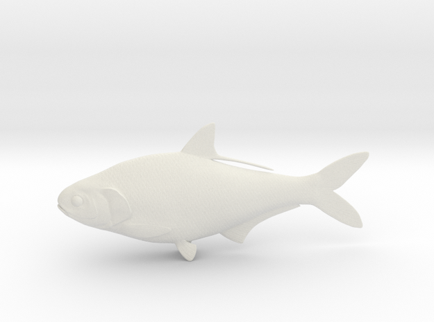 Gizzard Shad 203mm (8") in White Natural Versatile Plastic