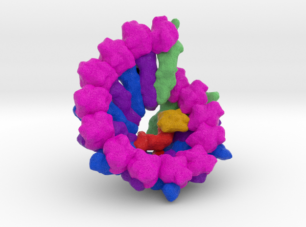 Human γ-Tubulin Ring Complex (γ-TuRC) in Natural Full Color Sandstone