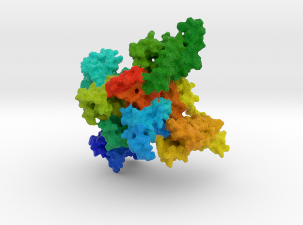 Cardiac Sodium Channel in Natural Full Color Sandstone