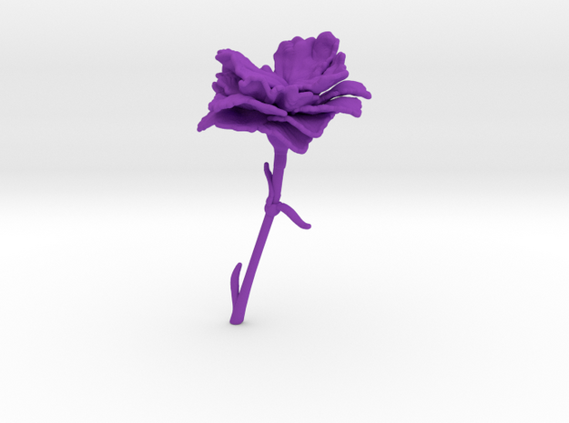 Carnation in Purple Processed Versatile Plastic