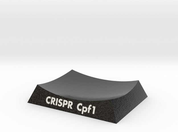 CRISPR-Cpf1 5B43 AR Base in Glossy Full Color Sandstone: Extra Small