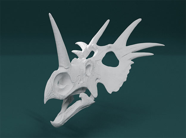 Styracosaurus Skull- 1/18th scale replica in White Natural Versatile Plastic: 1:18
