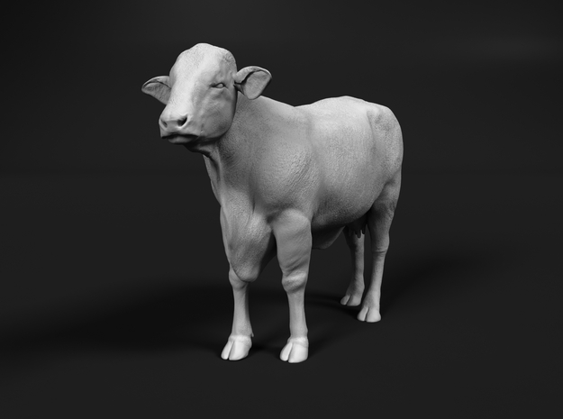 Brangus 1:35 Standing Cow in White Natural Versatile Plastic