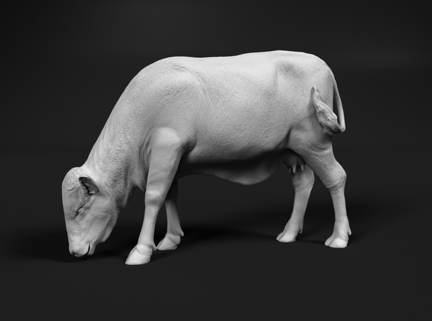 Brangus 1:9 Grazing Cow in White Natural Versatile Plastic