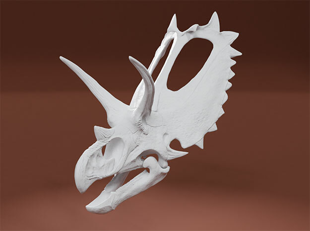 Pentaceratops Skull in White Natural Versatile Plastic: 1:18