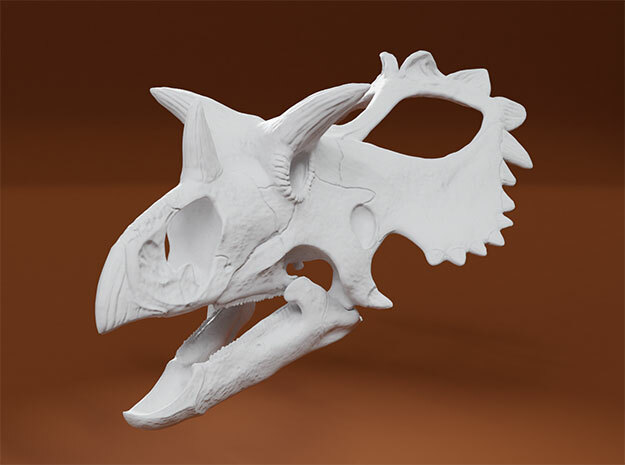 Utahceratops Skull- 1/18th scale replica in White Natural Versatile Plastic: 1:18