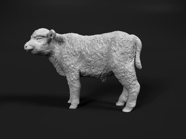 Highland Cattle 1:25 Standing Calf in White Natural Versatile Plastic