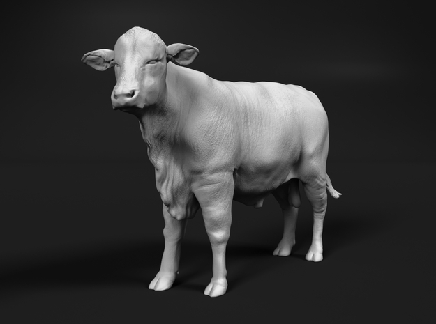 Brangus 1:16 Standing Young Bull in White Natural Versatile Plastic