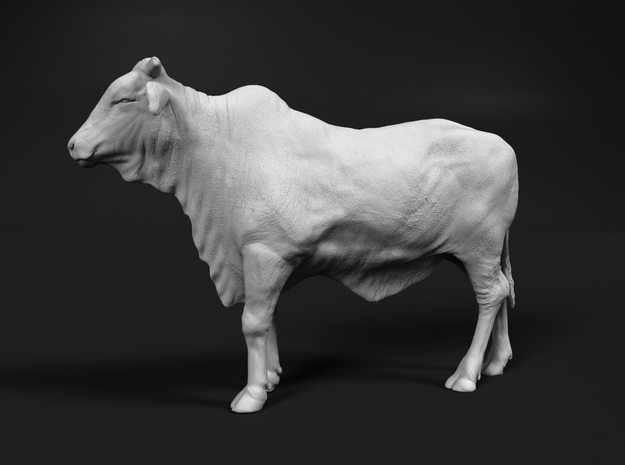 1/2 Brahman x 1/2 Brangus 1:72 Standing Heifer 1 in Tan Fine Detail Plastic