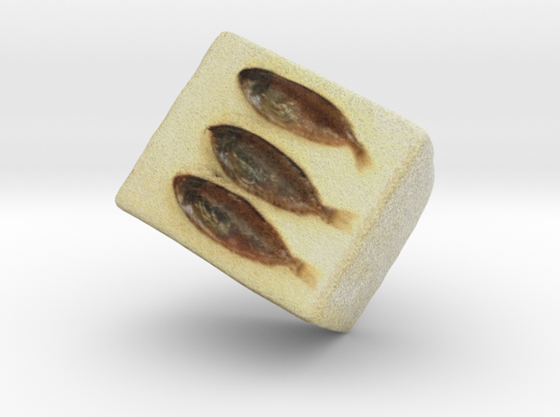 The Sukugarasu on the Tofu in Full Color Sandstone