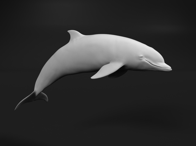 Bottlenose Dolphin 1:9 Breaching 1 in White Natural Versatile Plastic
