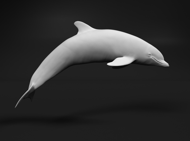 Bottlenose Dolphin 1:9 Breaching 2 in White Natural Versatile Plastic