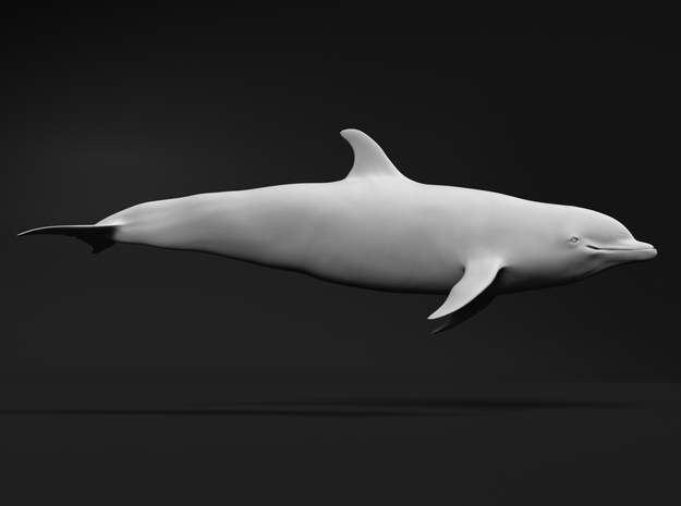 Bottlenose Dolphin 1:16 Swimming 2 in White Natural Versatile Plastic