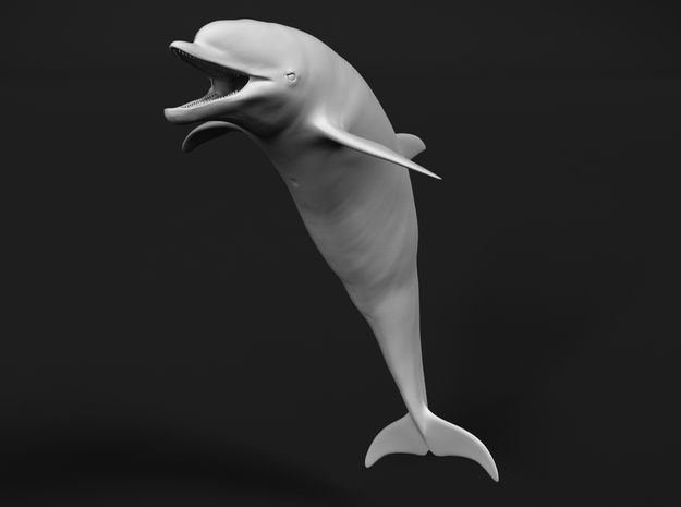 Bottlenose Dolphin 1:22 Mouth open in White Natural Versatile Plastic