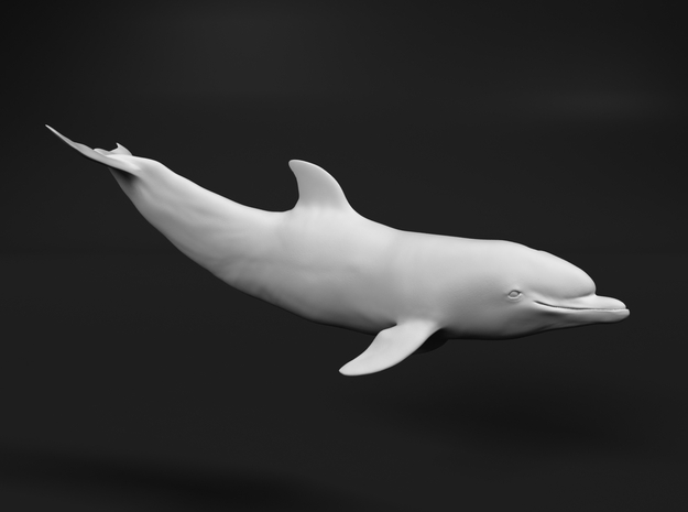 Bottlenose Dolphin 1:76 Calf 2 in Tan Fine Detail Plastic