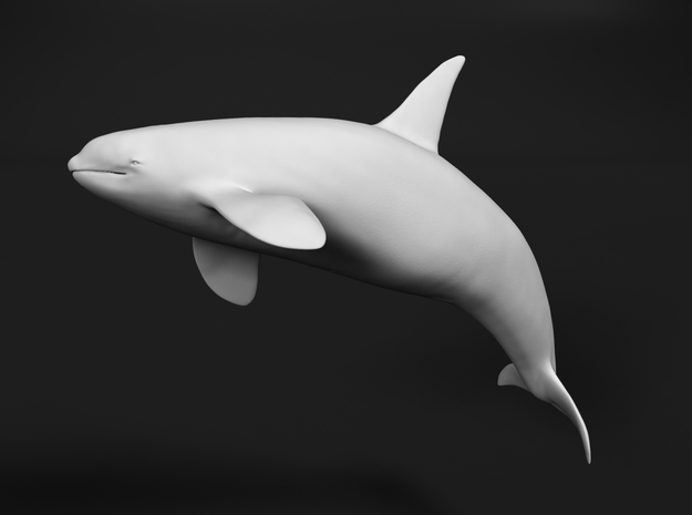 Killer Whale 1:64 Breaching Male in White Natural Versatile Plastic