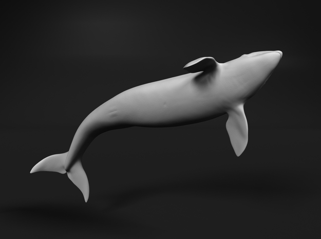 Killer Whale 1:16 Breaching Female in White Natural Versatile Plastic
