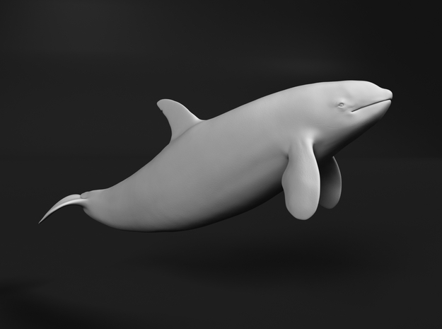 Killer Whale 1:64 Swimming Female 1 in White Natural Versatile Plastic