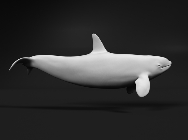 Killer Whale 1:120 Swimming Female 2 in Tan Fine Detail Plastic