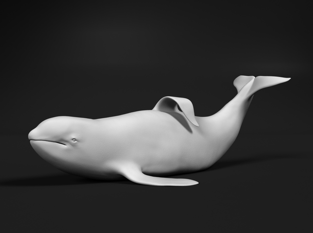 Killer Whale 1:160 Captive male out of the water in Tan Fine Detail Plastic