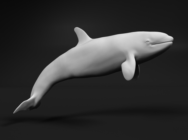 Killer Whale 1:64 Calf 2 in White Natural Versatile Plastic