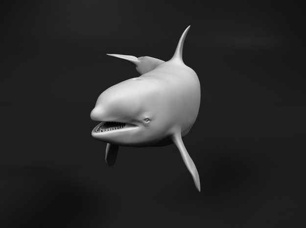 Killer Whale 1:64 Female with mouth open 2 in White Natural Versatile Plastic