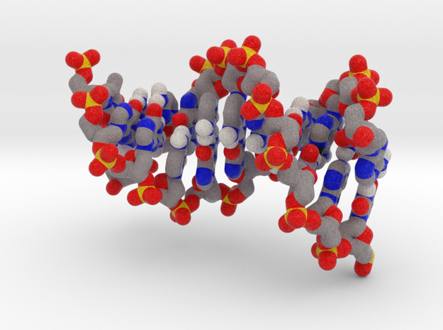 Accurate representation of DNA in Natural Full Color Sandstone