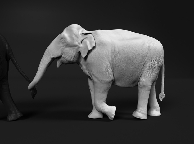 Indian Elephant 1:48 Female walking in a line 4 in White Natural Versatile Plastic