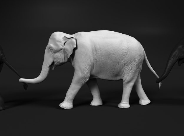 Indian Elephant 1:16 Female walking in a line 3 in White Natural Versatile Plastic