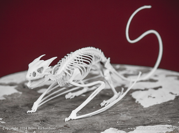Horned Wyvern Skeleton